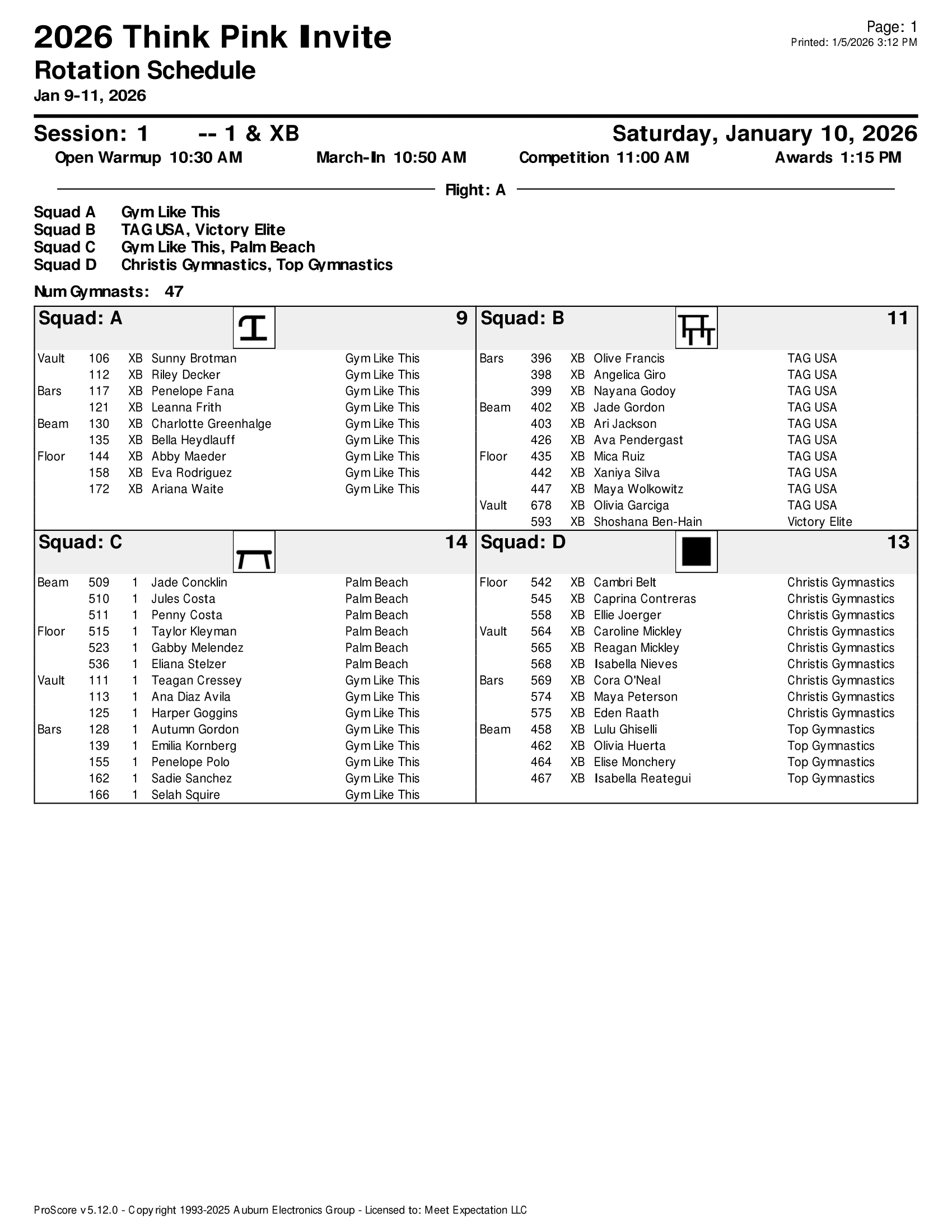 Think Pink Rotation Sheets-01