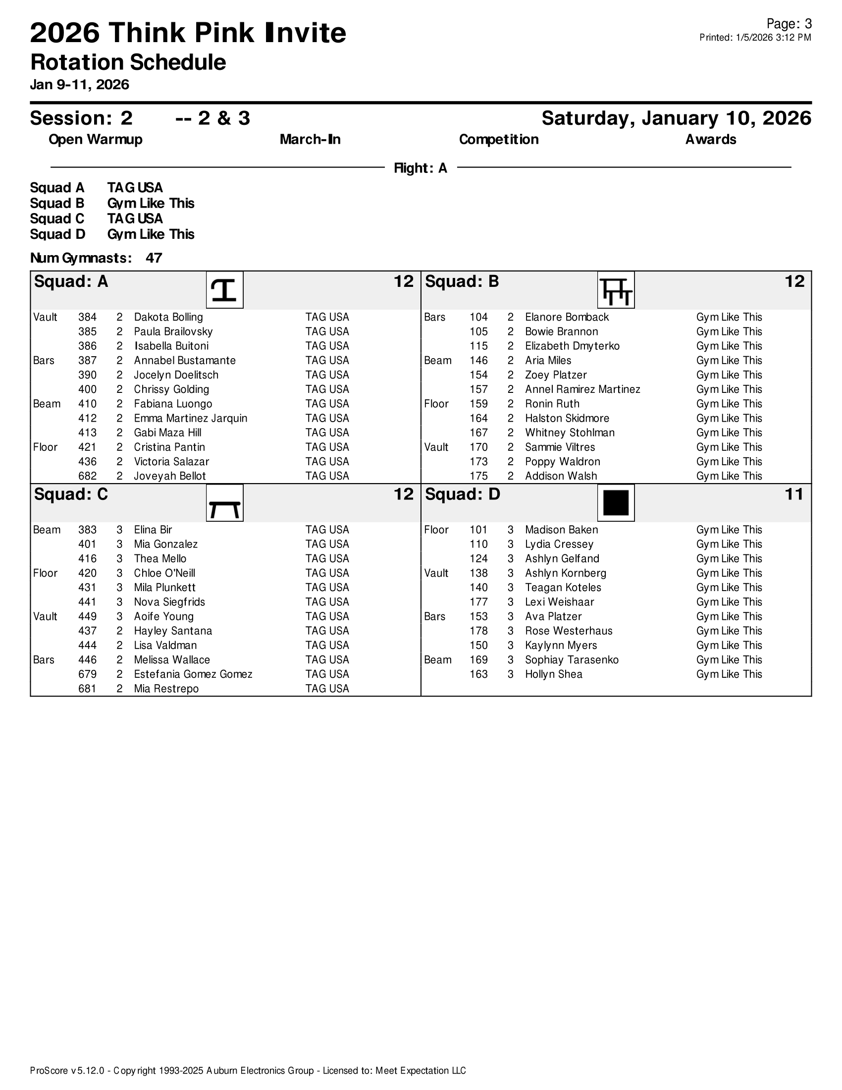 Think Pink Rotation Sheets-03