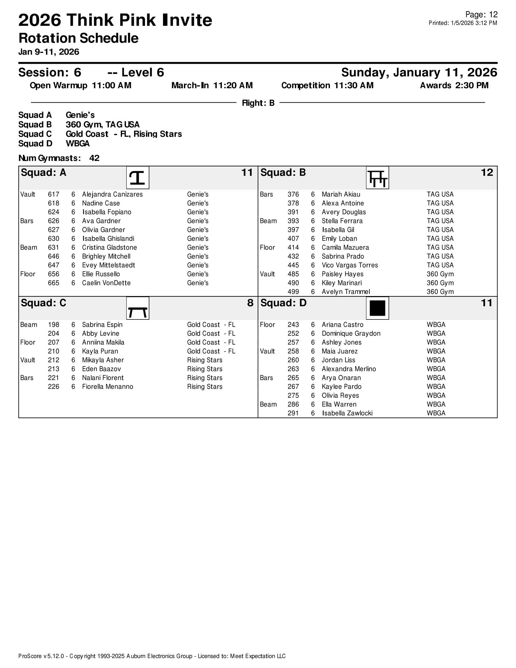 Think Pink Rotation Sheets-12